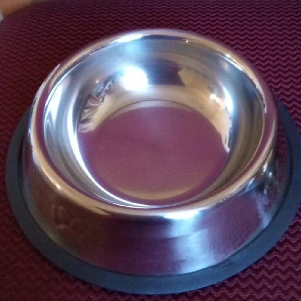 Lot of 2 Stainless Steel Pet Dishes